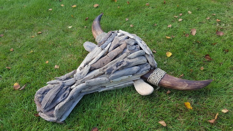 "Drift-Wood" Buffalo Head