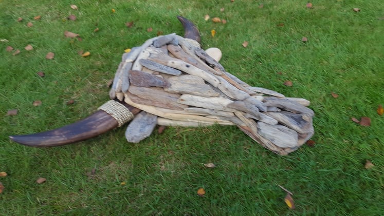 "Drift-Wood" Buffalo Head