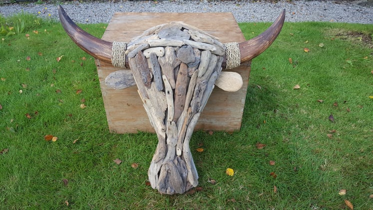 "Drift-Wood" Buffalo Head