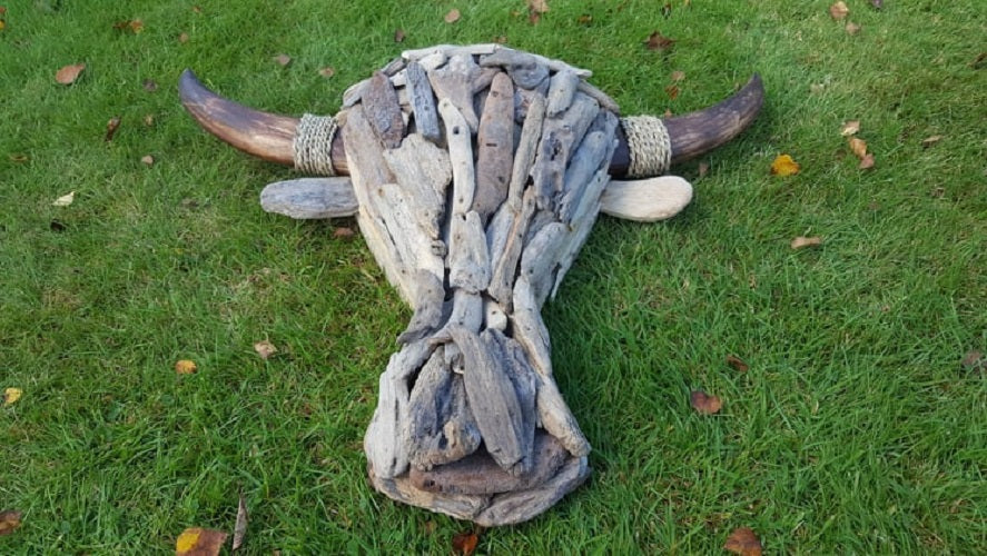 "Drift-Wood" Buffalo Head