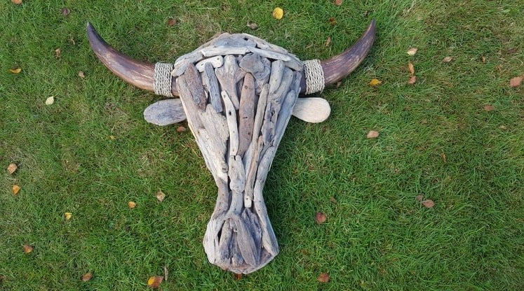 "Drift-Wood" Buffalo Head