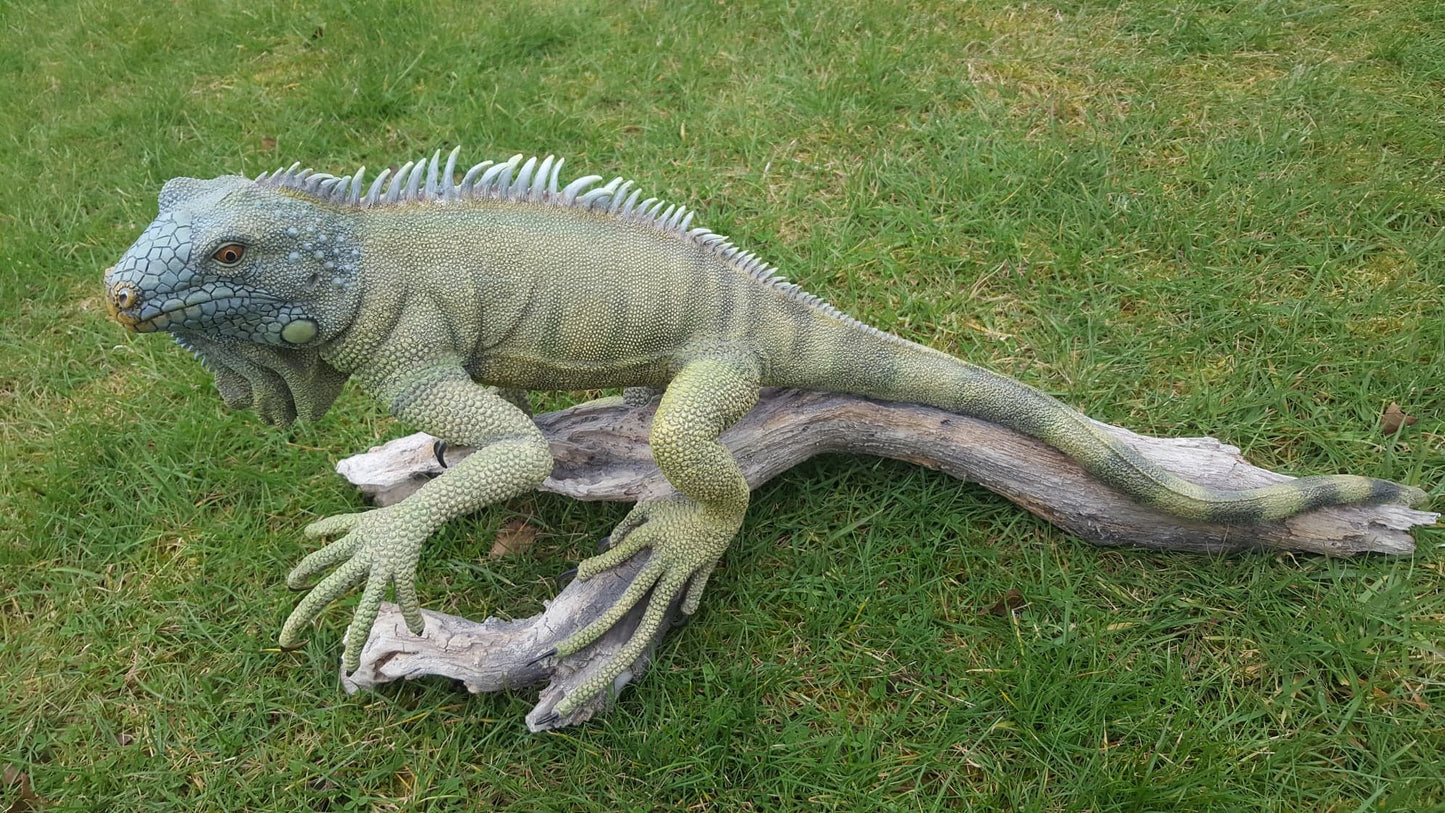 'Richard Sefton' Moulded Porcelain, Bearded Dragon