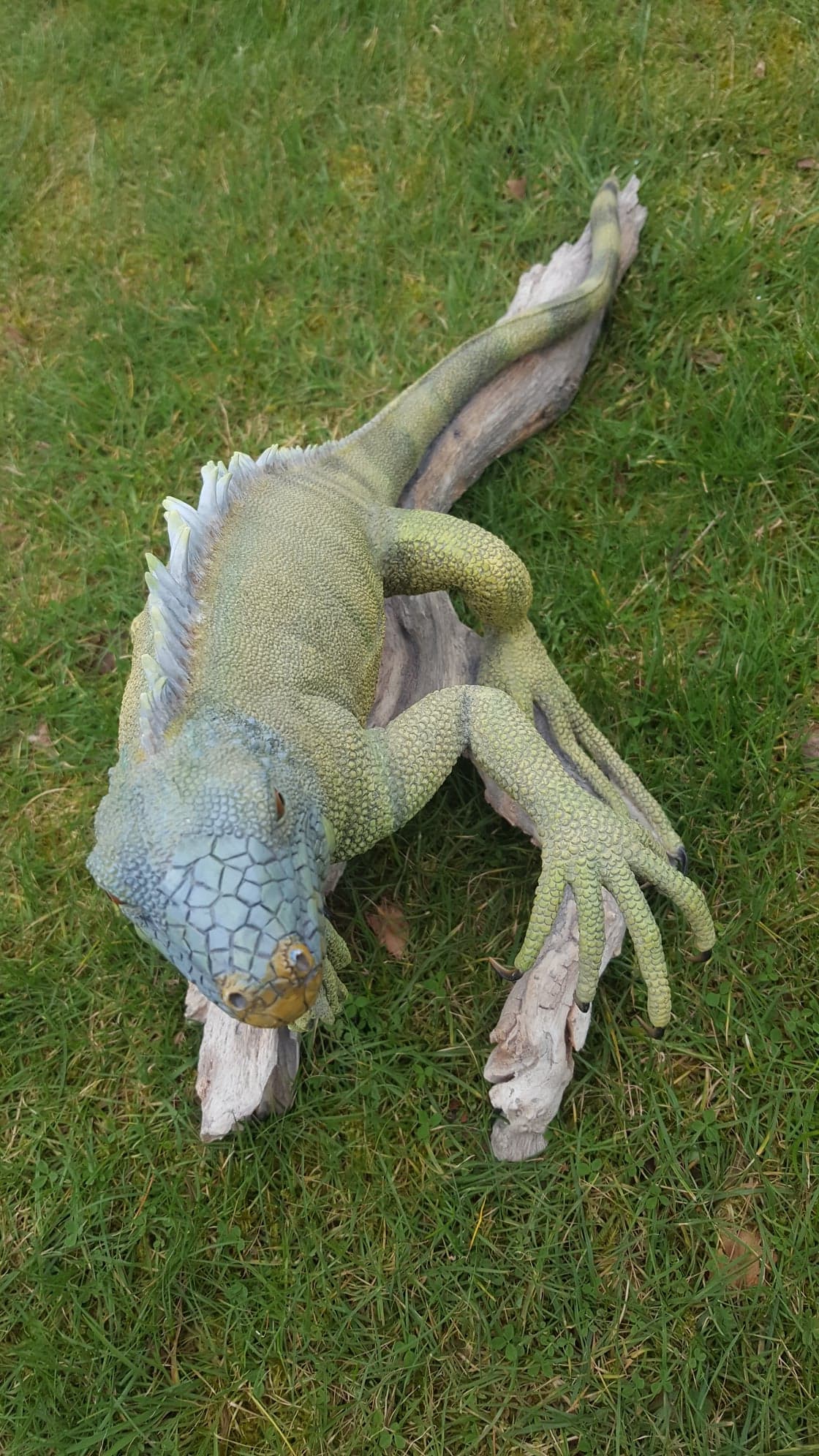 'Richard Sefton' Moulded Porcelain, Bearded Dragon