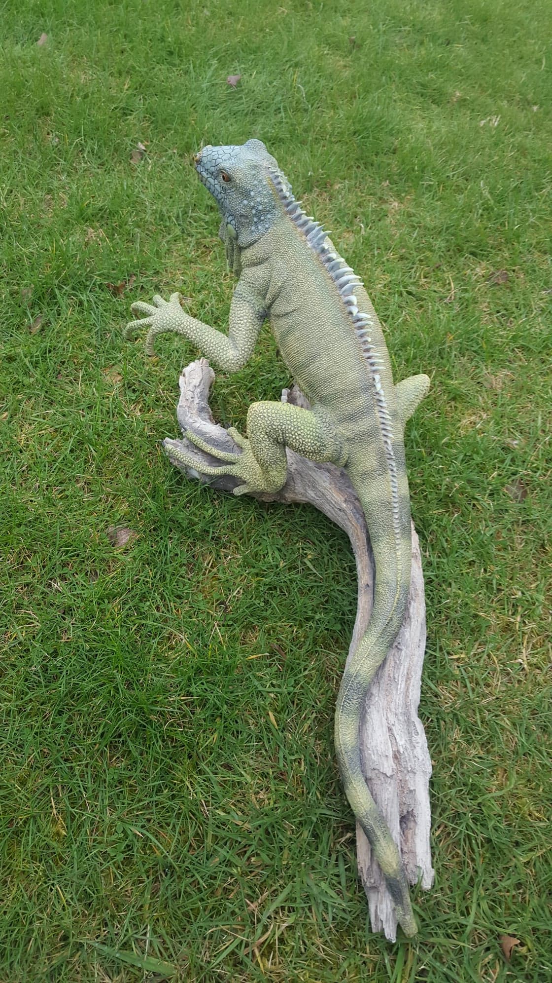 'Richard Sefton' Moulded Porcelain, Bearded Dragon