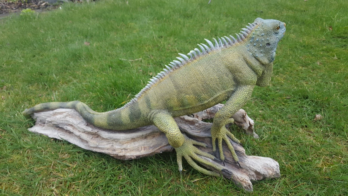 'Richard Sefton' Moulded Porcelain, Bearded Dragon