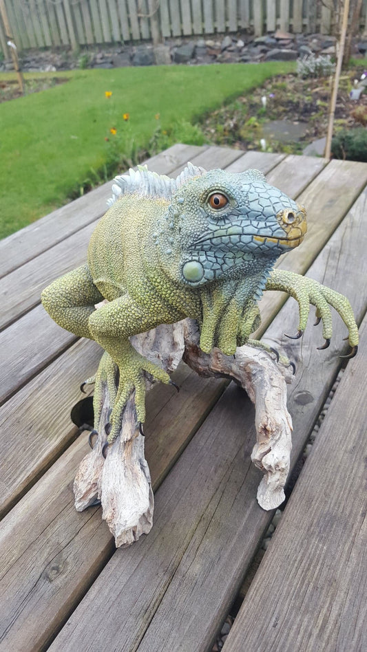 'Richard Sefton' Moulded Porcelain, Bearded Dragon