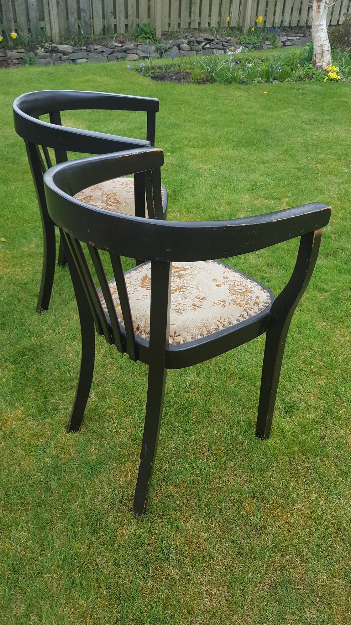 "Fischer" Ebonised Wooden Tub Chairs