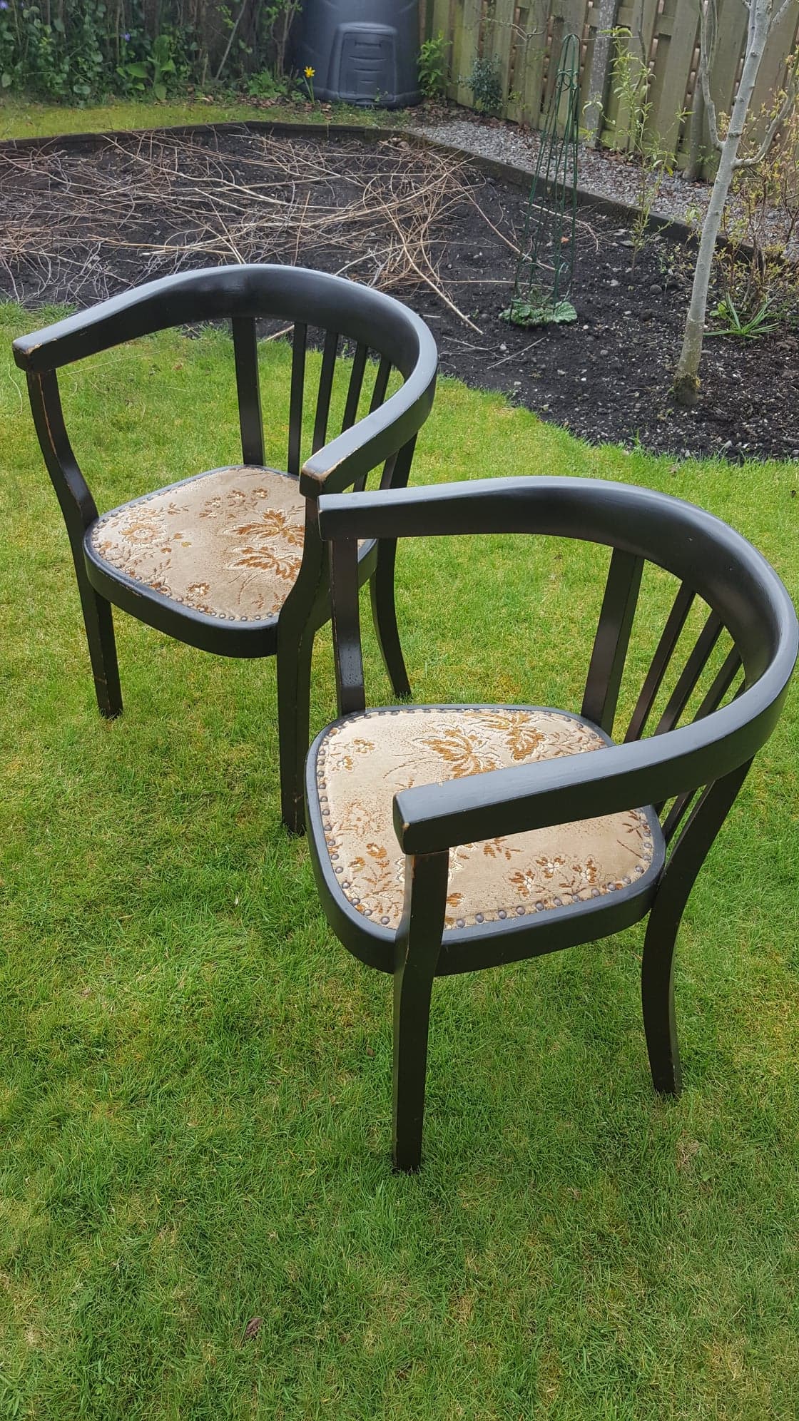 "Fischer" Ebonised Wooden Tub Chairs