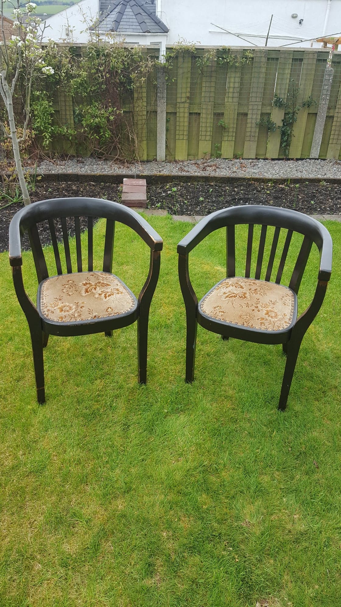 "Fischer" Ebonised Wooden Tub Chairs