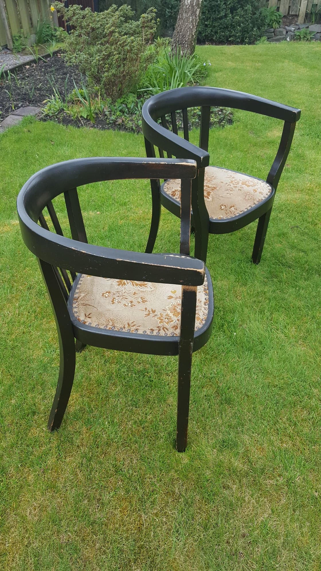 "Fischer" Ebonised Wooden Tub Chairs