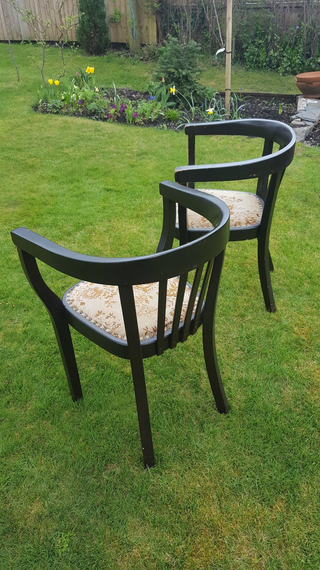 "Fischer" Ebonised Wooden Tub Chairs