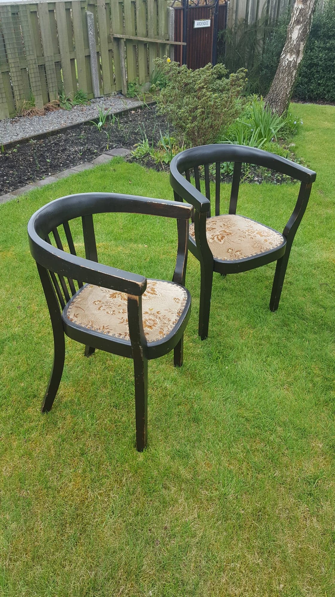 "Fischer" Ebonised Wooden Tub Chairs